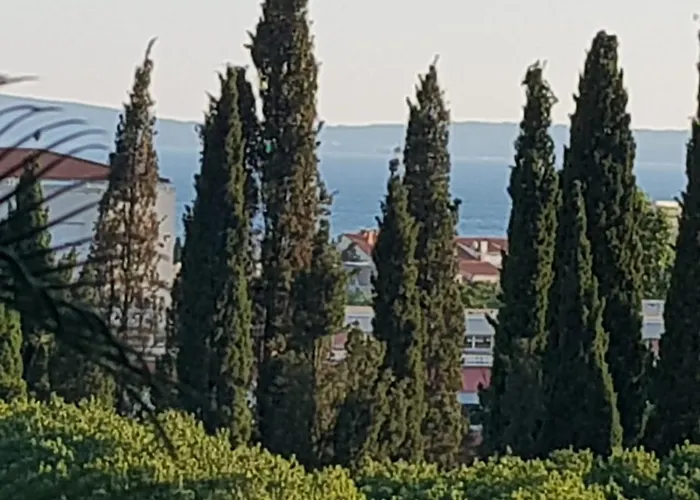 Davor * 스플리트